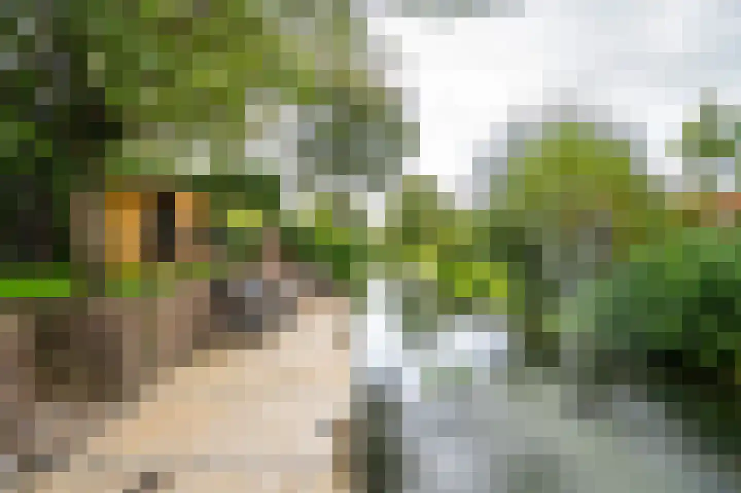 Anthoniuswerf 17 Schoonrewoerd thumbnail 46