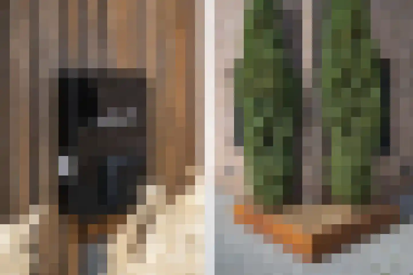 Anthoniuswerf 17 Schoonrewoerd thumbnail 49