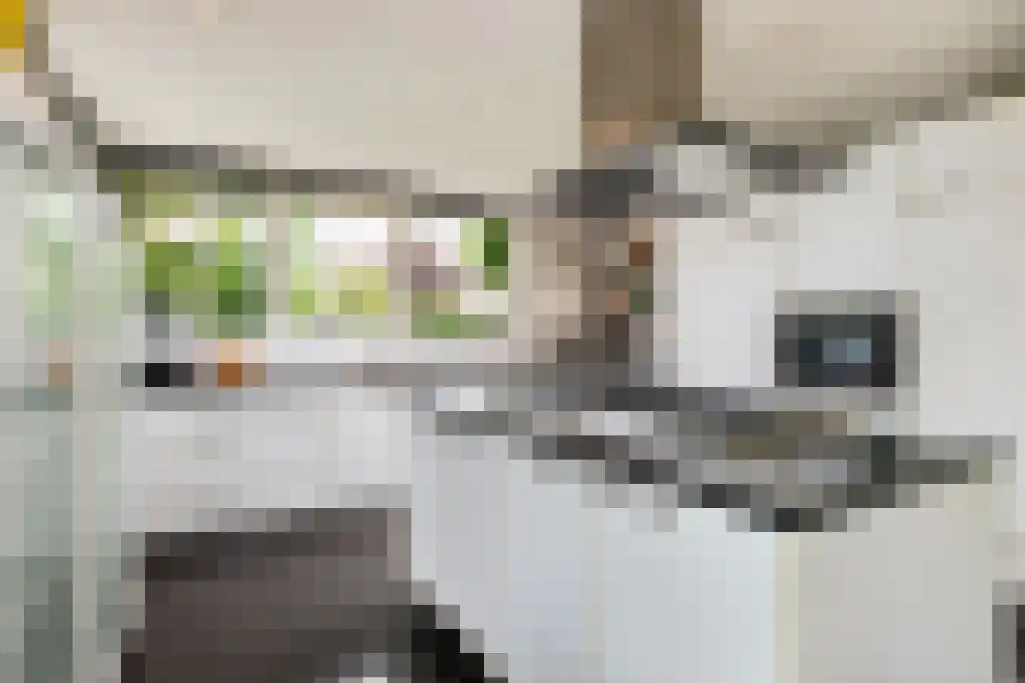 Anthony Cankrienstraat 3 Rotterdam thumbnail 10