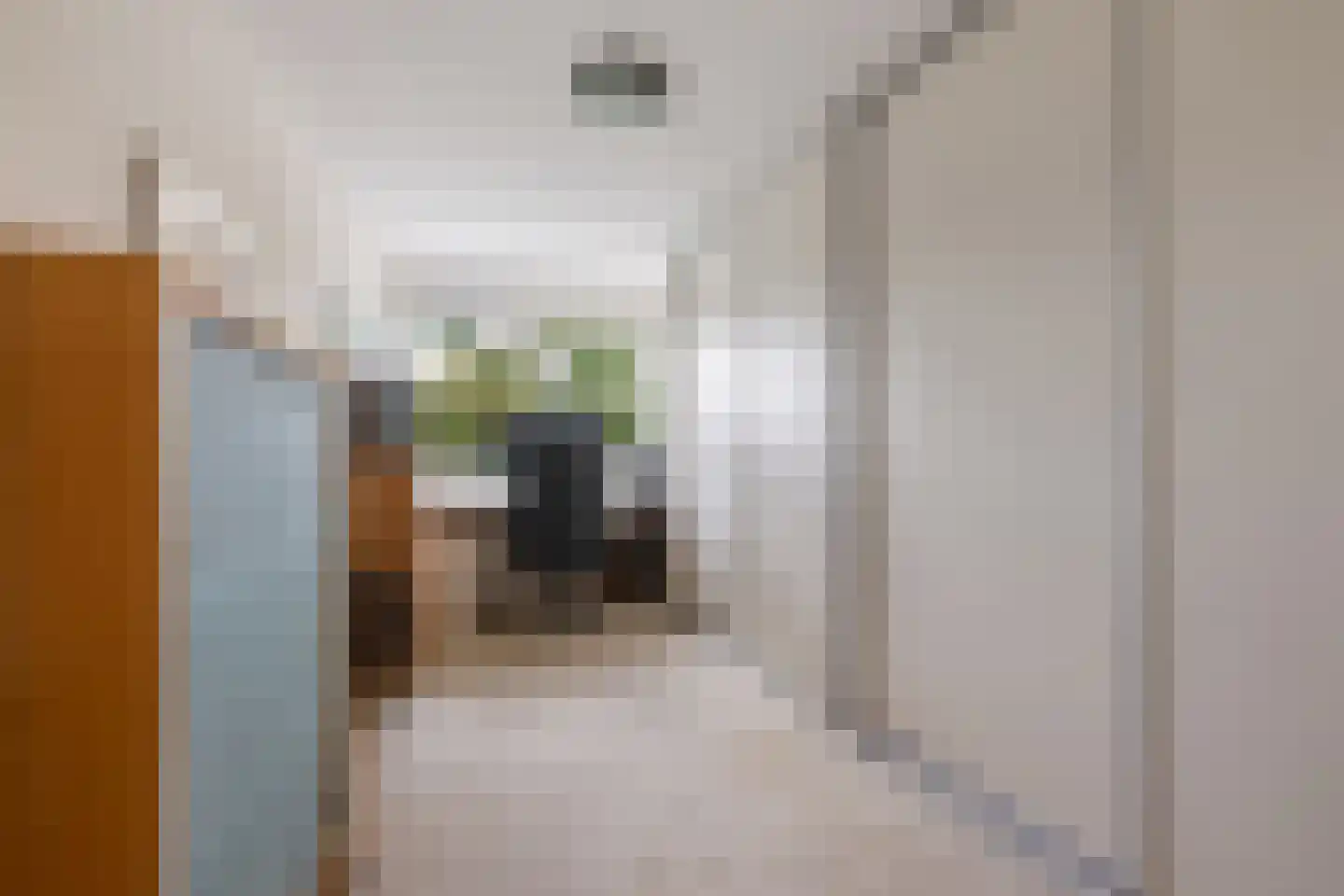 Anthony Cankrienstraat 3 Rotterdam thumbnail 17