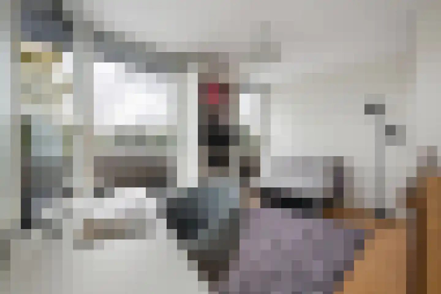 Anthony Cankrienstraat 3 Rotterdam thumbnail 22