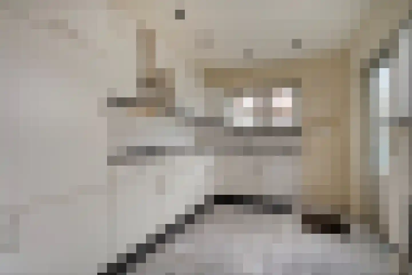 Anthony Duyckstraat 10 Zwolle thumbnail 17