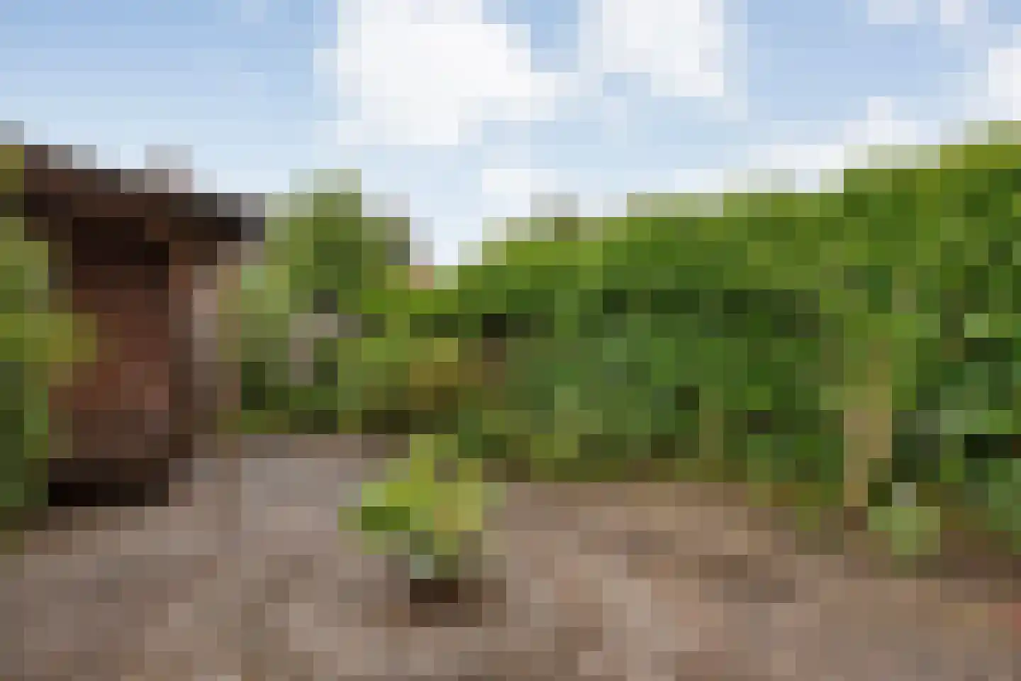 Anthony Duyckstraat 10 Zwolle thumbnail 38