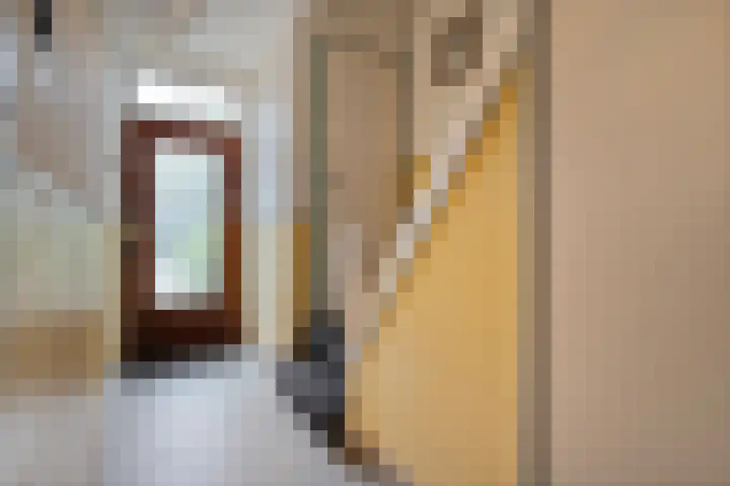 Anthony Duyckstraat 10 Zwolle thumbnail 8