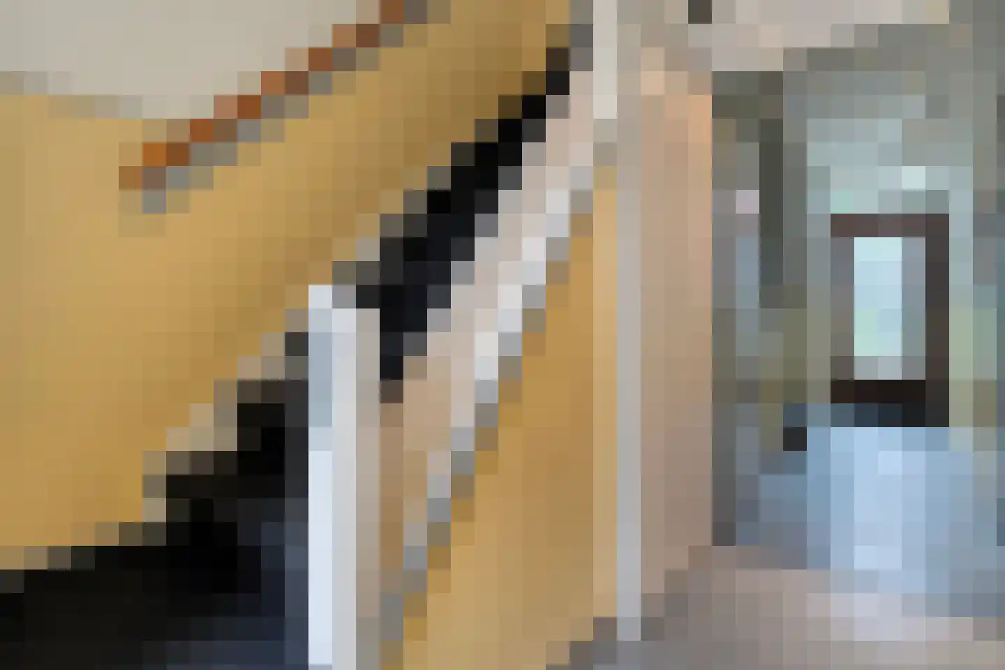 Anthony Duyckstraat 10 Zwolle thumbnail 9