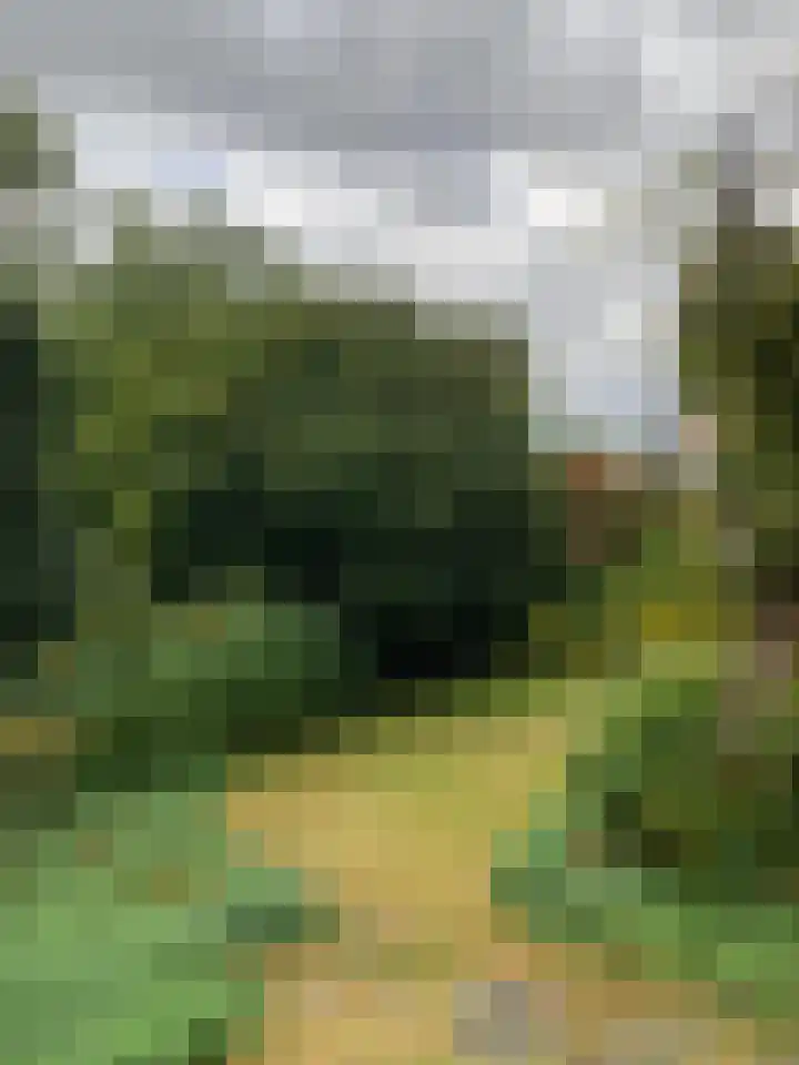Anthony Duyckstraat 2 Zwolle thumbnail 37