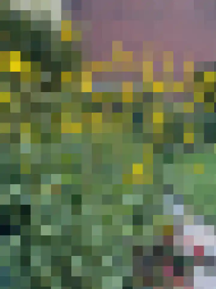 Anthony Duyckstraat 2 Zwolle thumbnail 38