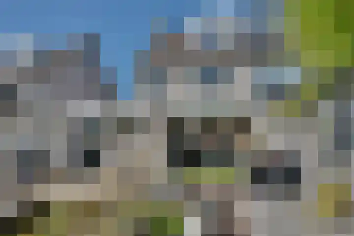 Anthony Edenlaan 21 Goes thumbnail 12