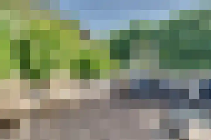 Anthony Edenlaan 21 Goes thumbnail 13