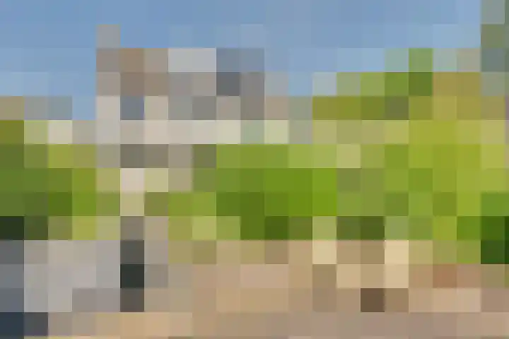 Anthony Edenlaan 21 Goes thumbnail 19
