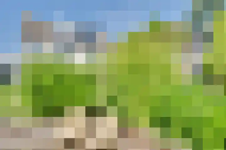 Anthony Edenlaan 21 Goes thumbnail 20