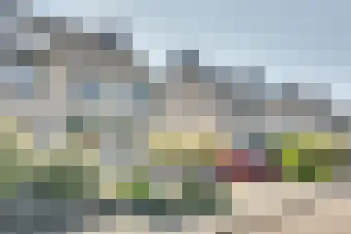 Anthony Edenlaan 21 Goes thumbnail 4