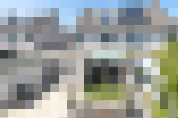 Anthony Edenlaan 21 Goes thumbnail 53
