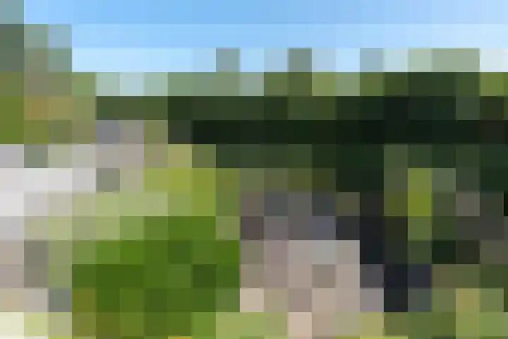 Anthony Edenlaan 21 Goes thumbnail 61