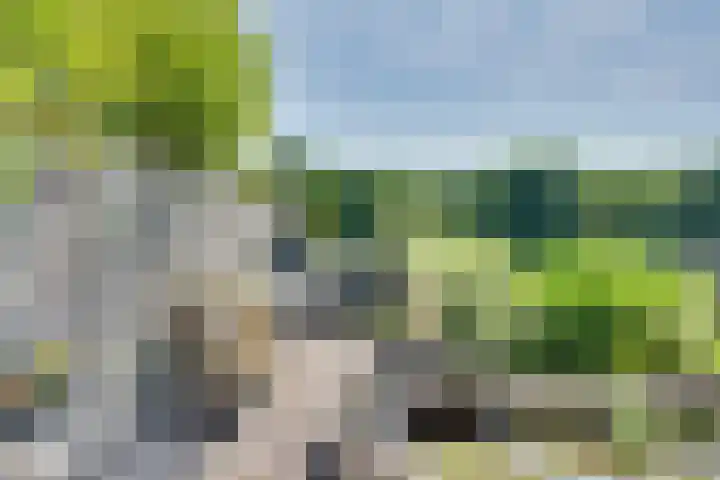 Anthony Edenlaan 21 Goes thumbnail 9