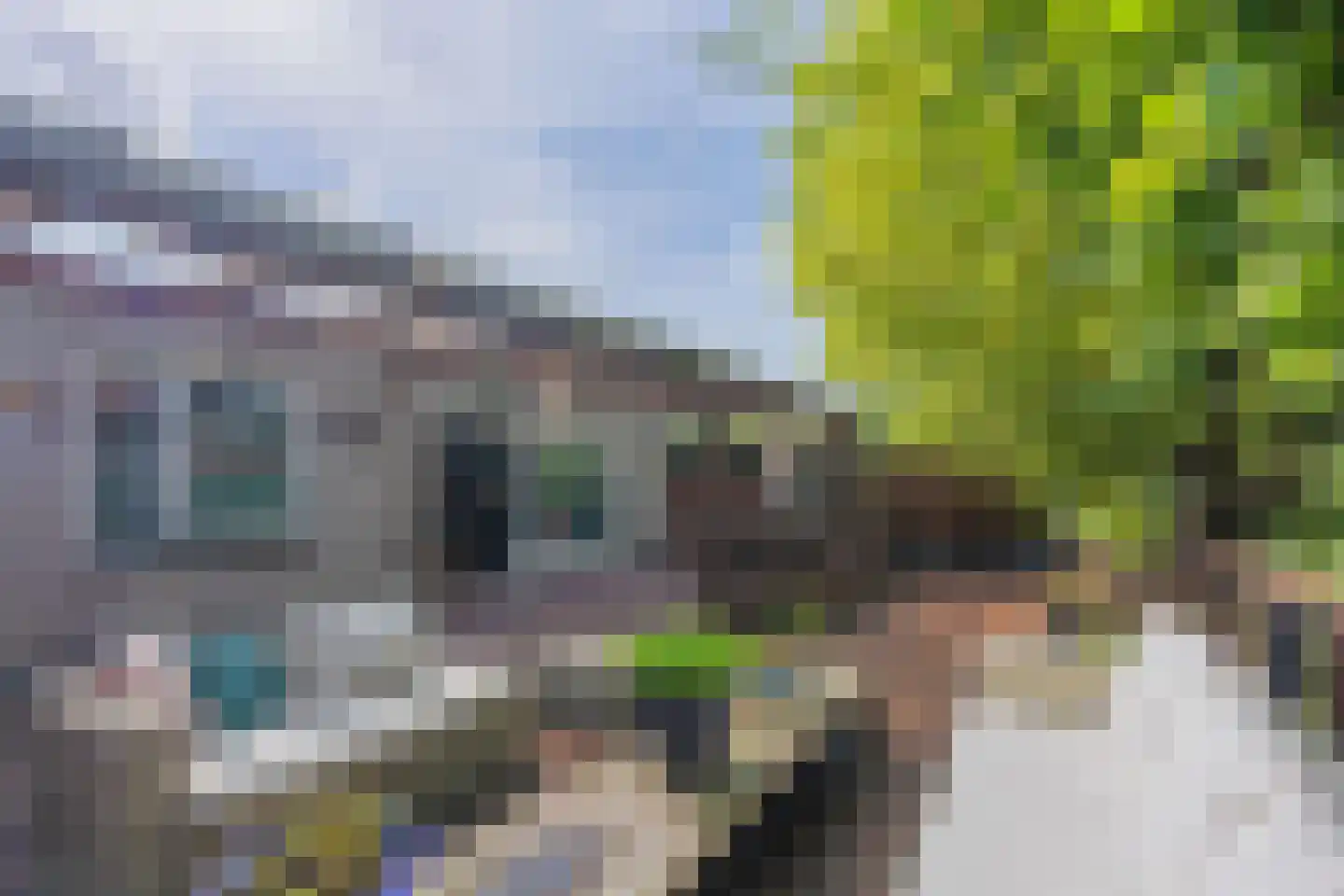 Anthony Edenlaan 39 Goes thumbnail 37