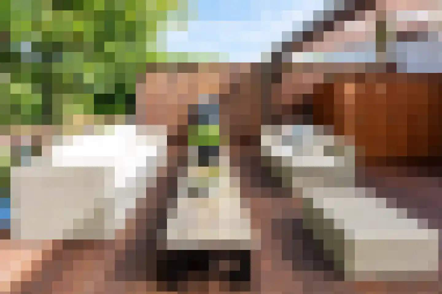 Anthony Edenlaan 39 Goes thumbnail 43