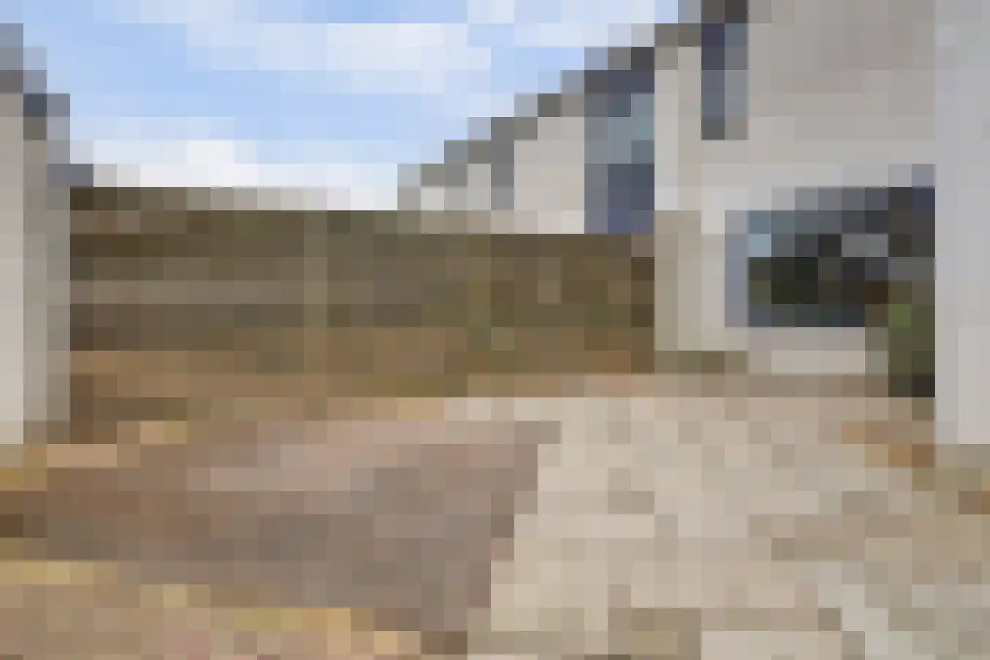 Anthony Edenlaan 69 Goes thumbnail 22