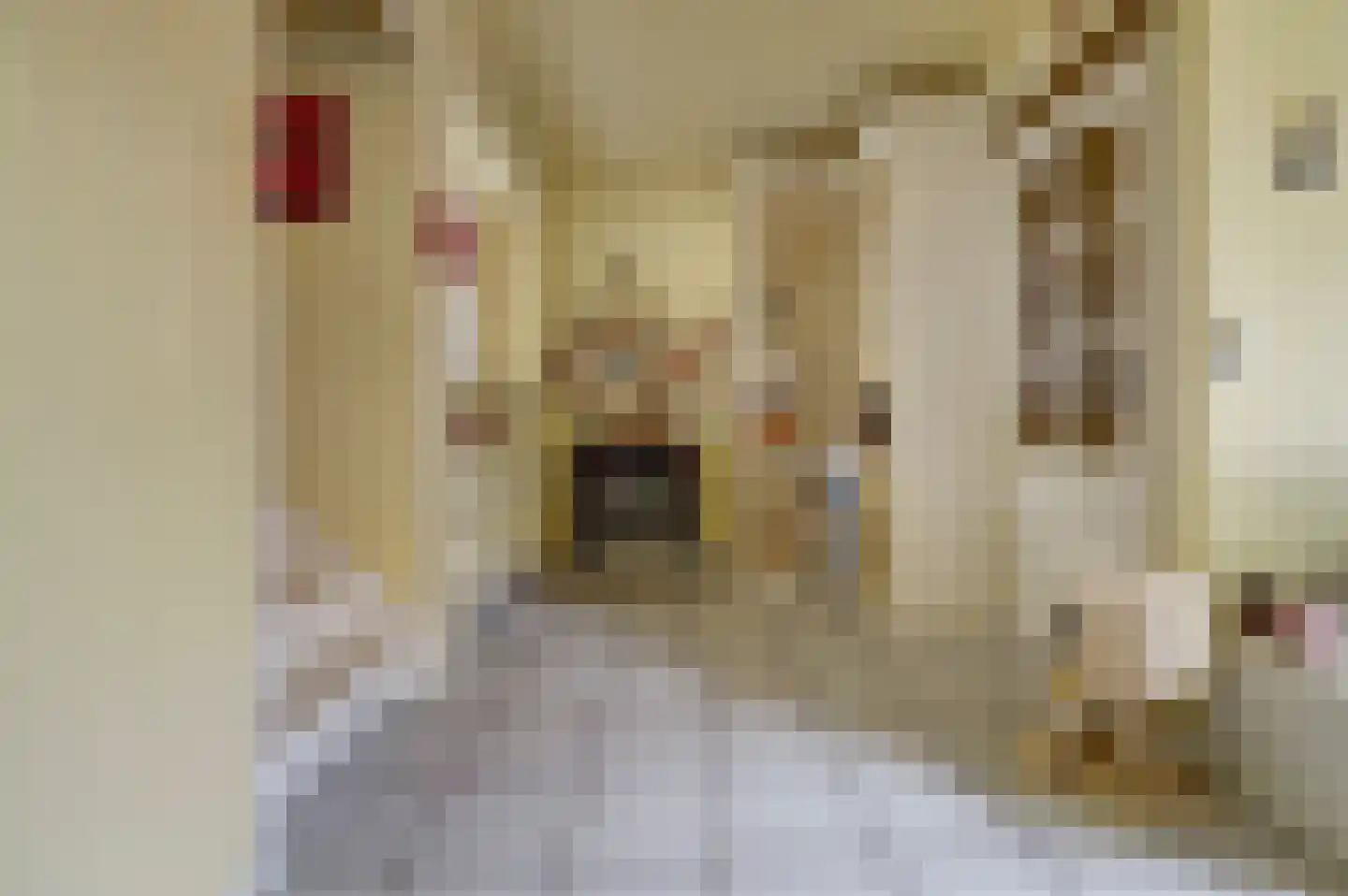 Anthony Edenlaan 69 Goes thumbnail 4