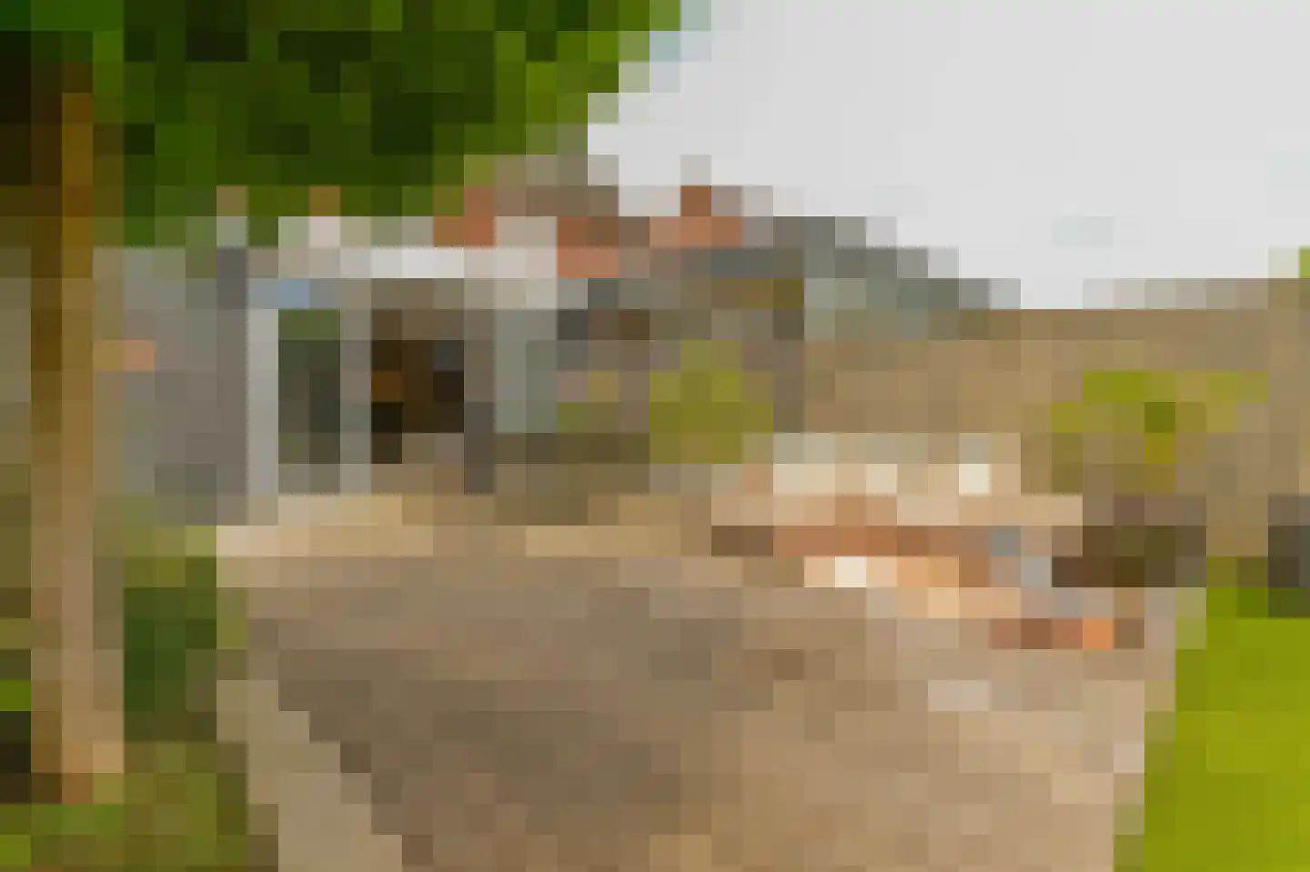 Anthony Edenstraat 13 Herten thumbnail 19