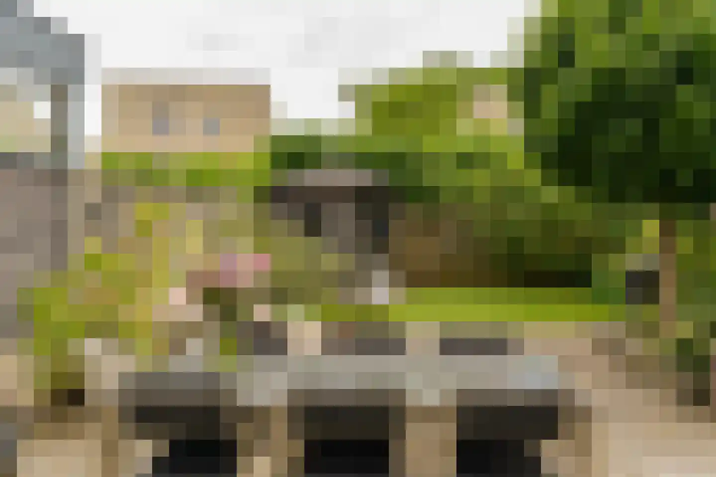 Anthony Edenstraat 13 Herten thumbnail 6