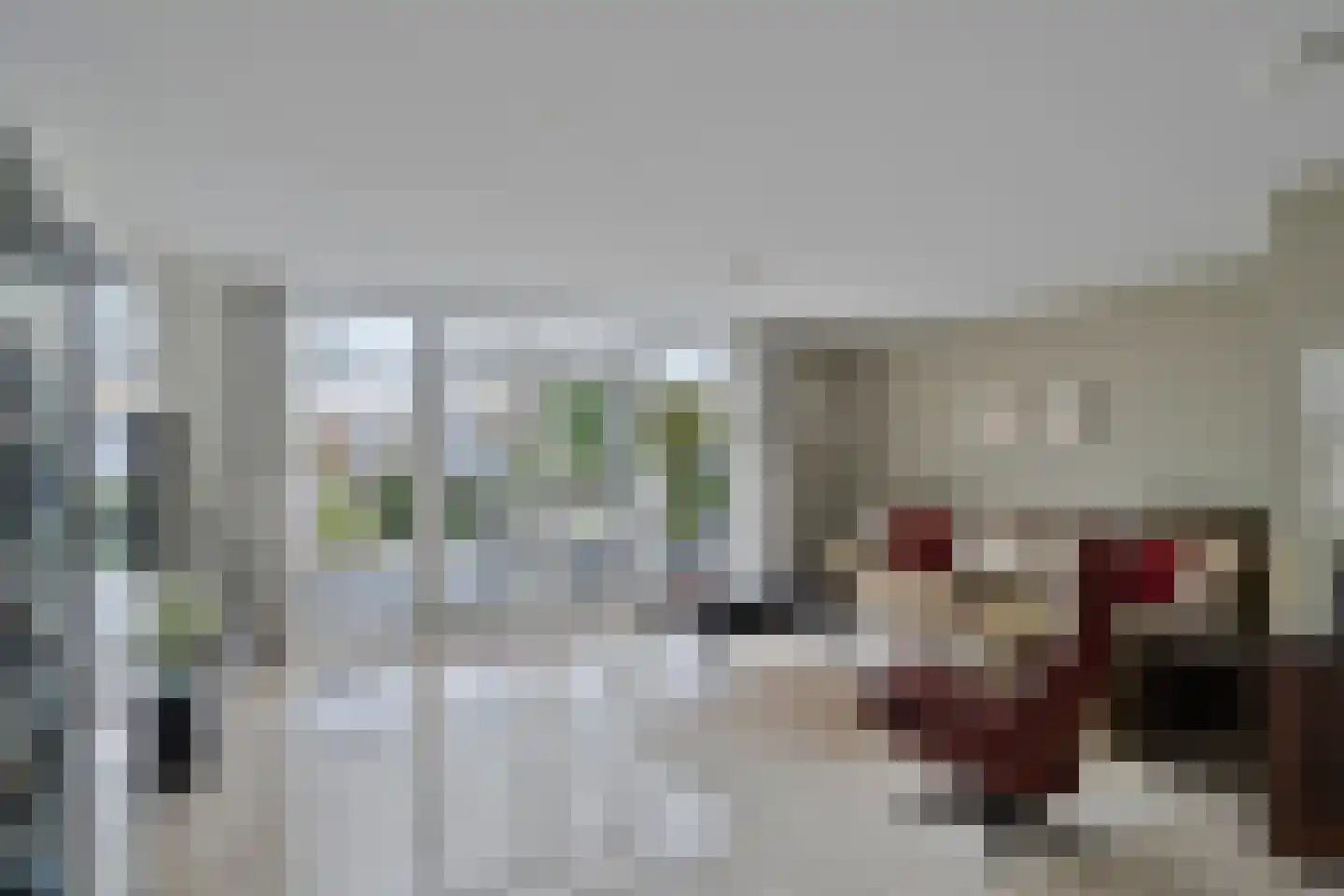 Anthony Edenstraat 21 Herten thumbnail 8