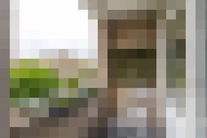 Anthony Fokkerlaan 14 I Haarlem thumbnail 19