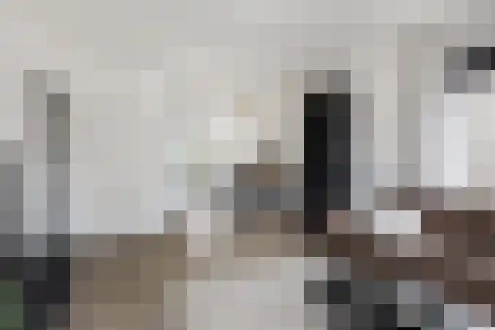 Anthony Fokkerlaan 14 I Haarlem thumbnail 5