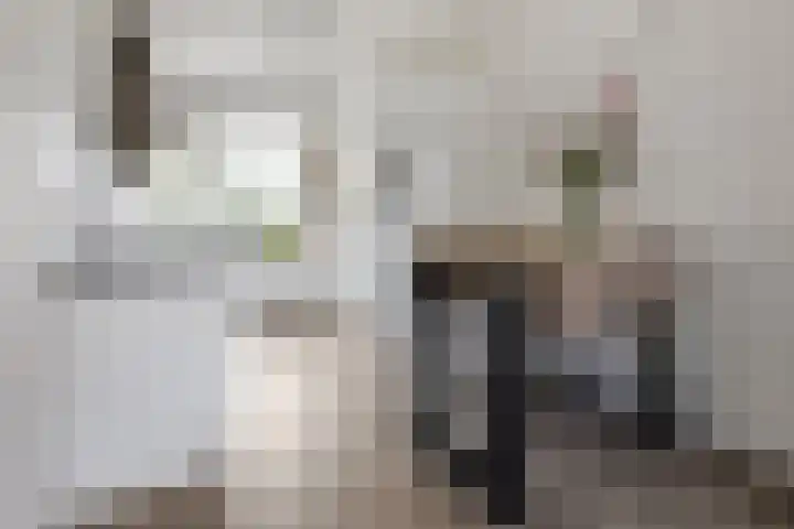 Anthony Fokkerlaan 14 I Haarlem thumbnail 6