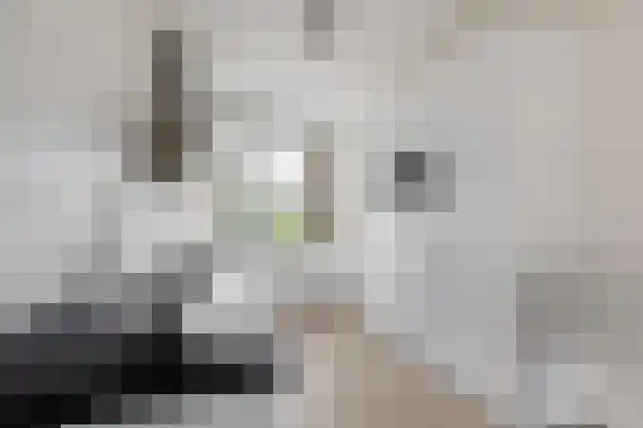 Anthony Fokkerlaan 14 I Haarlem thumbnail 7