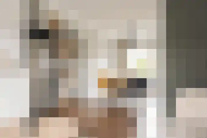 Anthony Fokkerlaan 16 I Haarlem thumbnail 13
