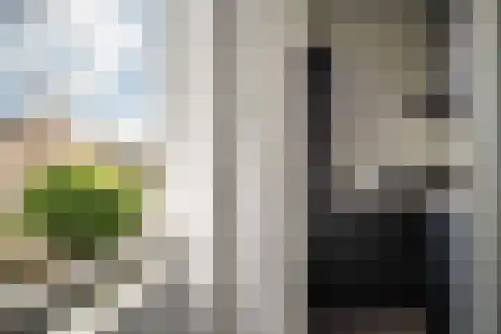 Anthony Fokkerlaan 16 I Haarlem thumbnail 18