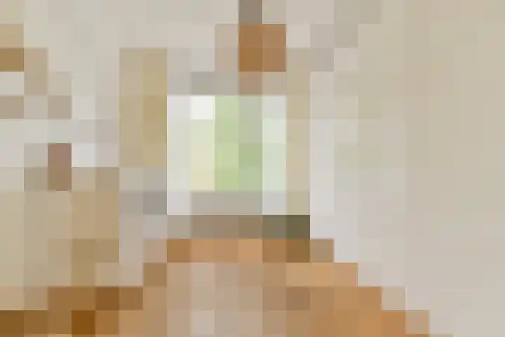 Anthony Fokkerlaan 22 II Haarlem thumbnail 12