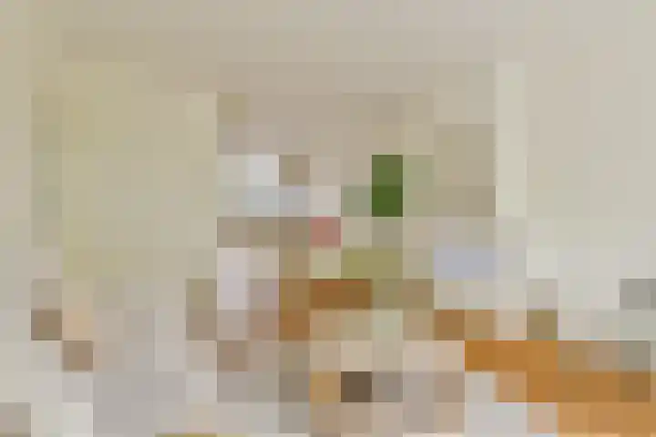 Anthony Fokkerlaan 22 II Haarlem thumbnail 4
