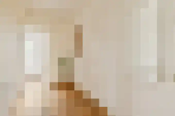 Anthony Fokkerlaan 22 II Haarlem thumbnail 8