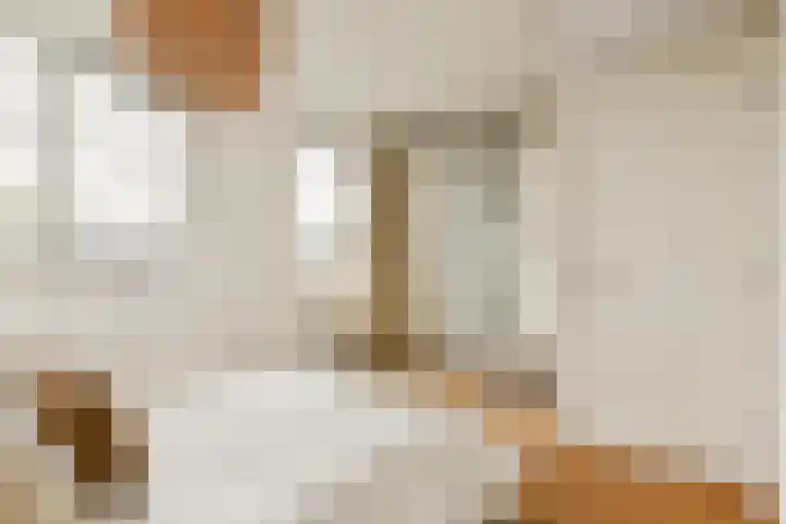 Anthony Fokkerlaan 22 II Haarlem thumbnail 9