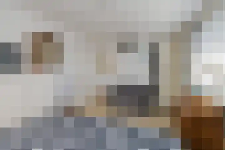 Anthony Fokkerlaan 3 Haarlem thumbnail 13