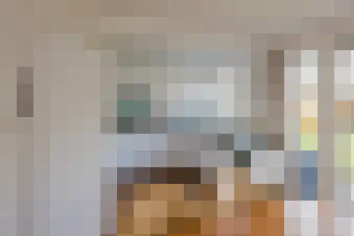 Anthony Fokkerlaan 3 Haarlem thumbnail 22