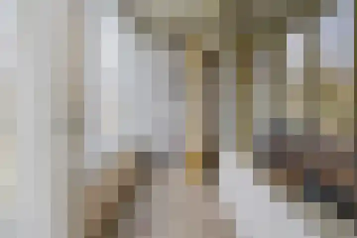 Anthony Fokkerlaan 3 Haarlem thumbnail 31