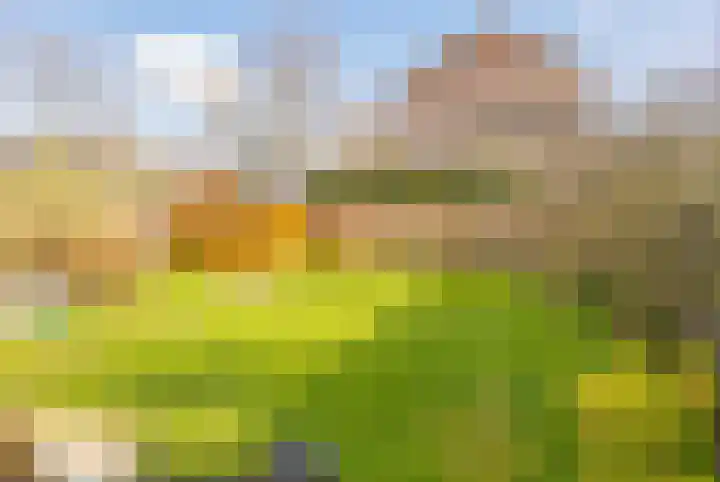 Anthony Fokkerlaan 3 Haarlem thumbnail 4