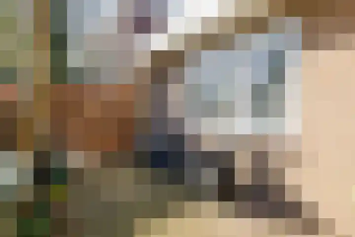 Anthony Fokkerlaan 3 Haarlem thumbnail 9