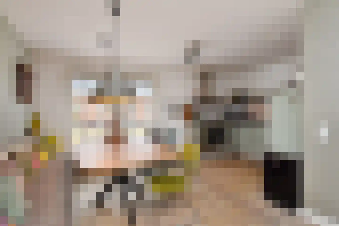Anthony Fokkersingel 104 Den Haag thumbnail 17