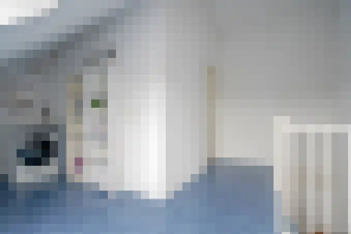 Anthony Fokkersingel 52 Den Haag thumbnail 41