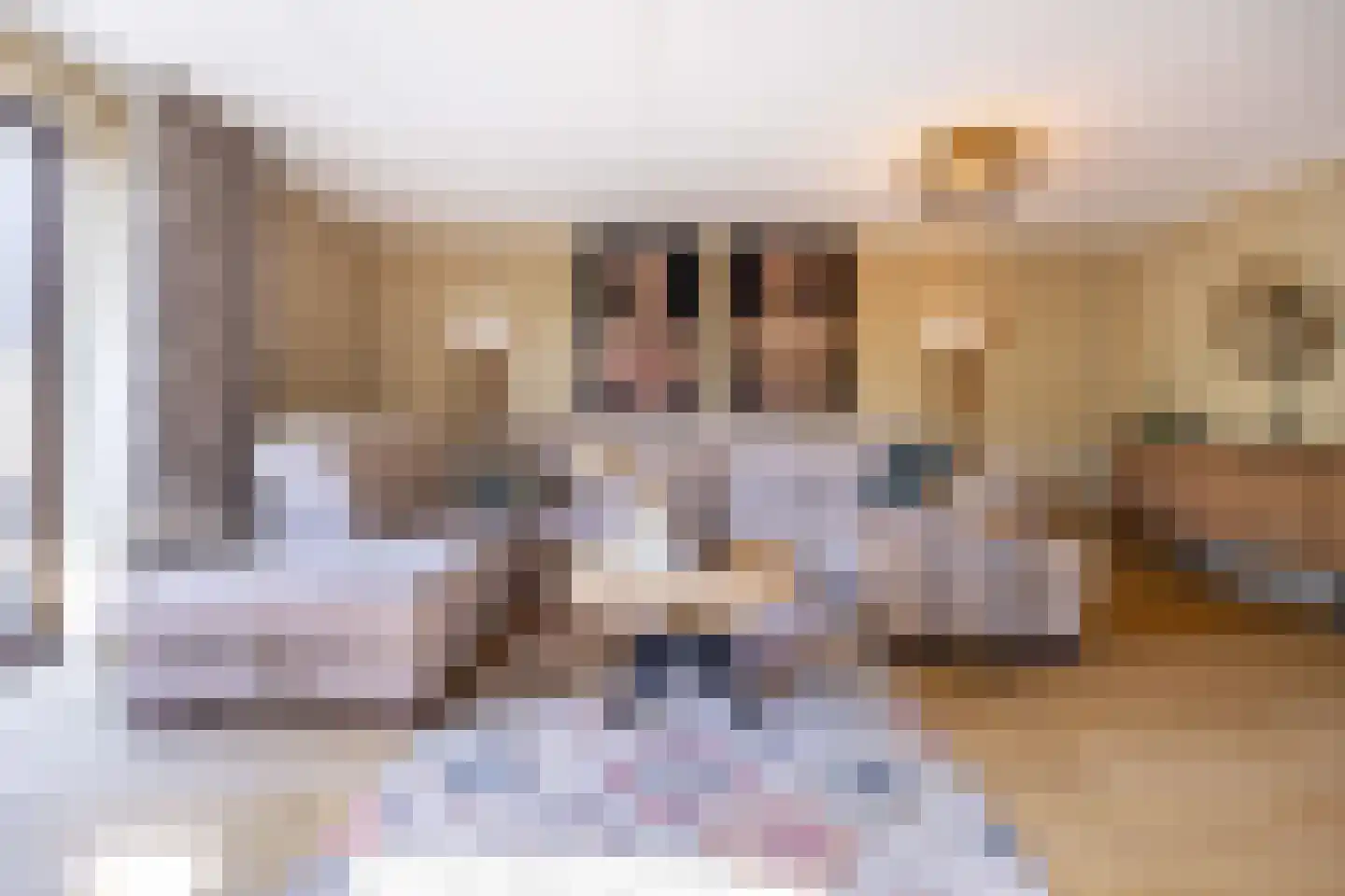 Anthony Fokkersingel 86 Den Haag thumbnail 13
