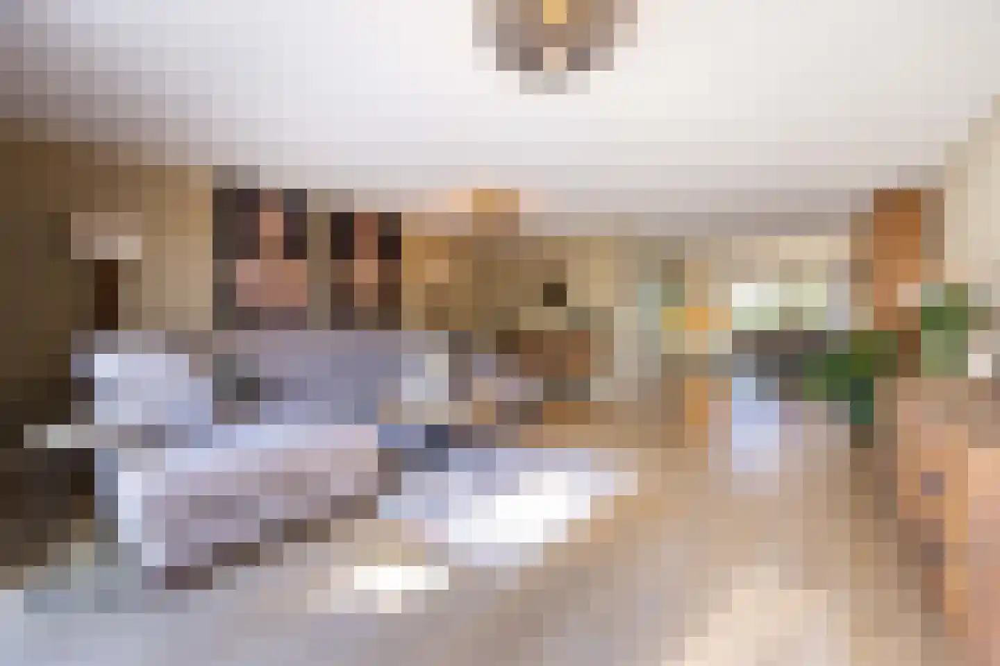 Anthony Fokkersingel 86 Den Haag thumbnail 14