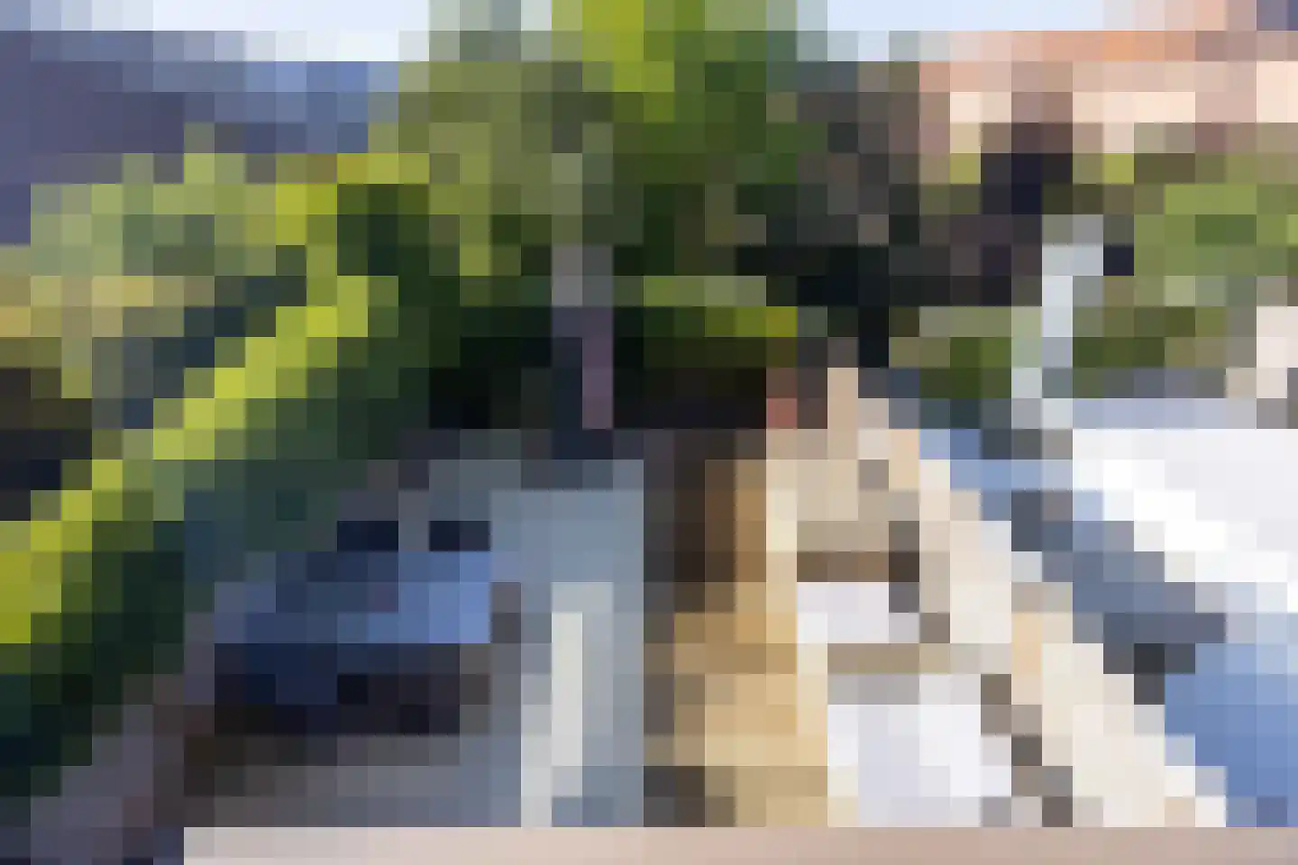 Anthony Fokkersingel 86 Den Haag thumbnail 25