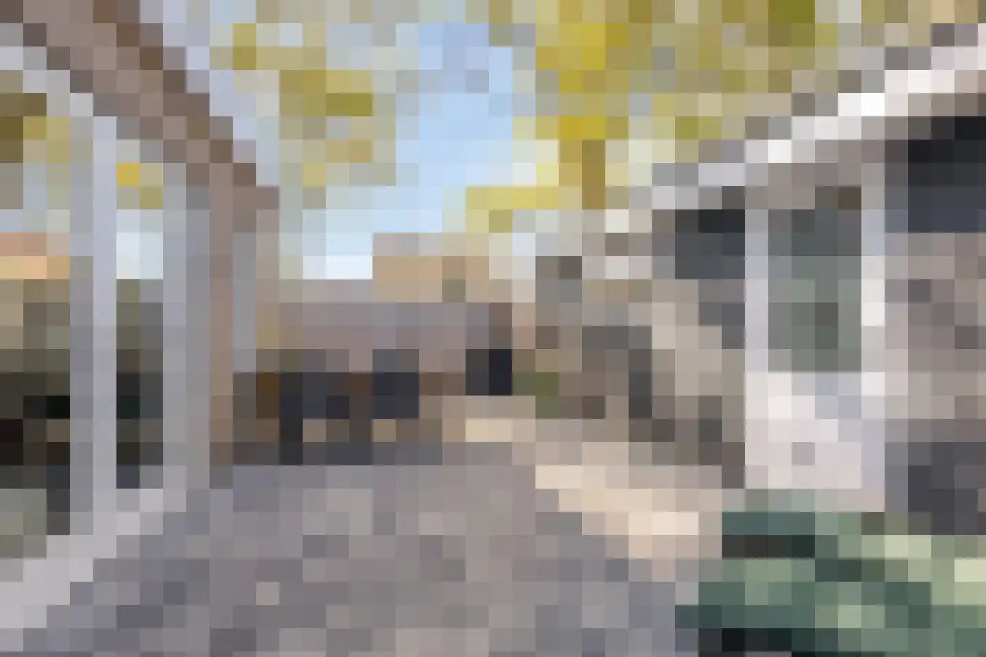 Anthony Fokkerstraat 1 Hurdegaryp thumbnail 10