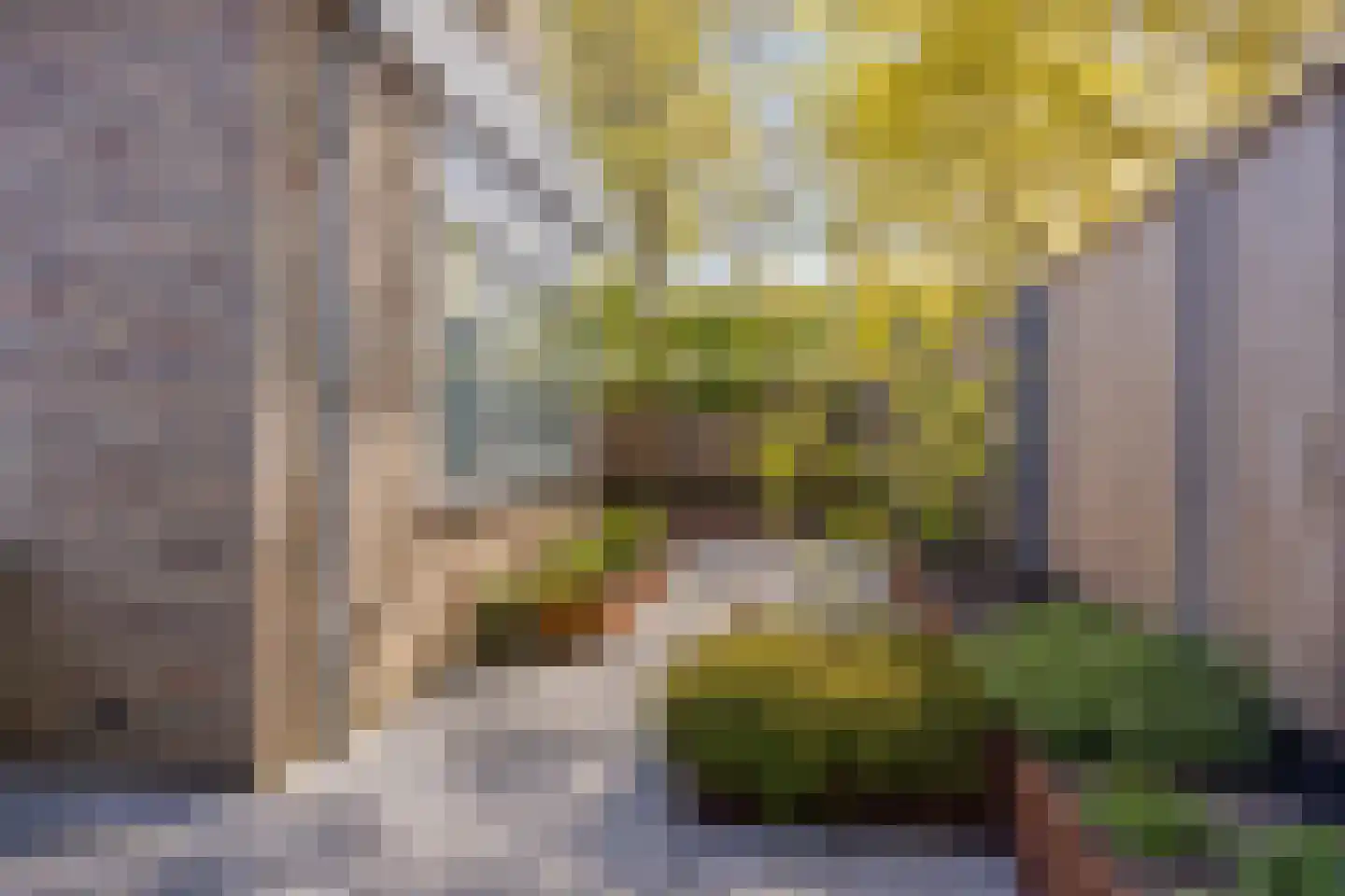 Anthony Fokkerstraat 1 Hurdegaryp thumbnail 8