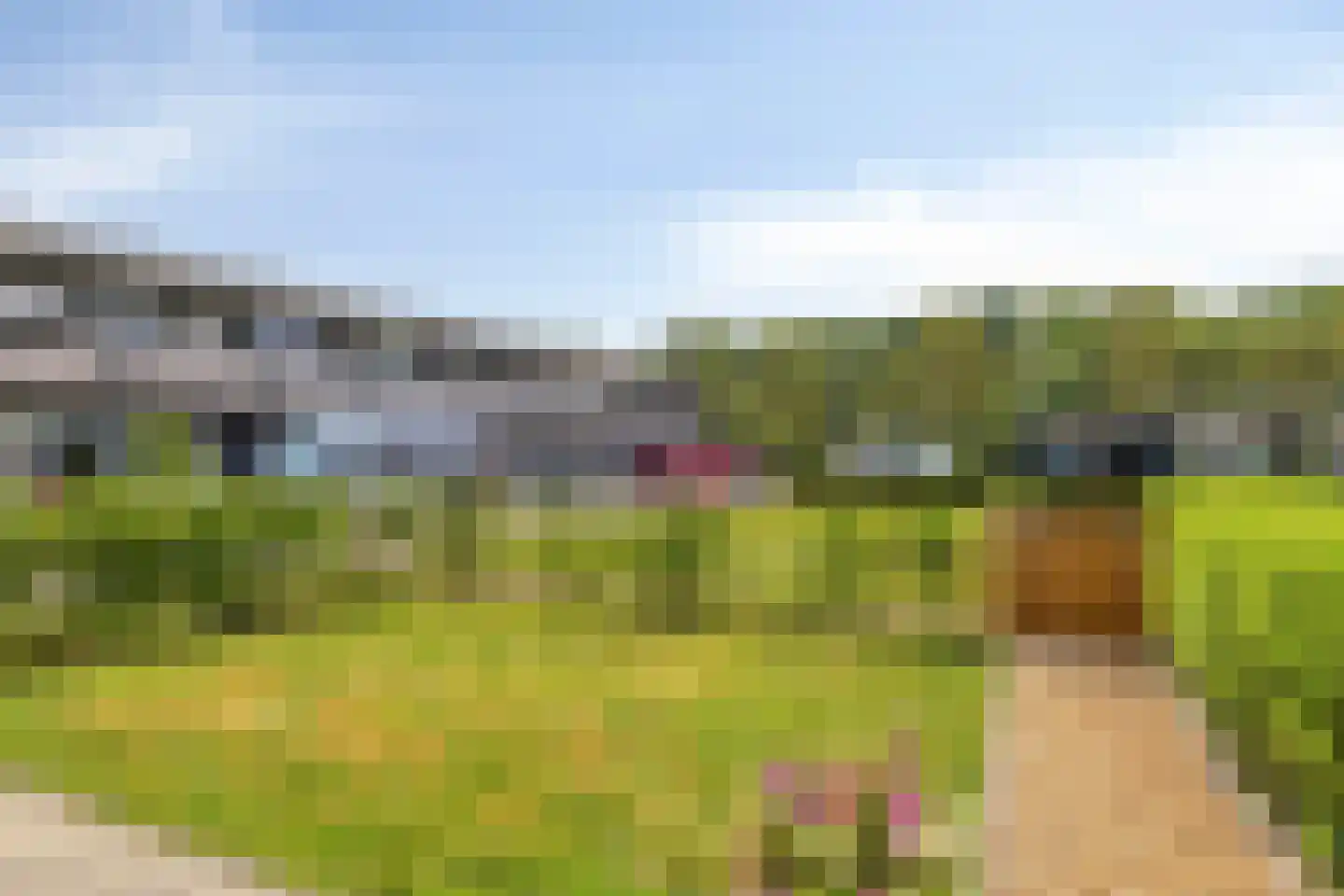 Anthony Fokkerstraat 13 Goes thumbnail 25