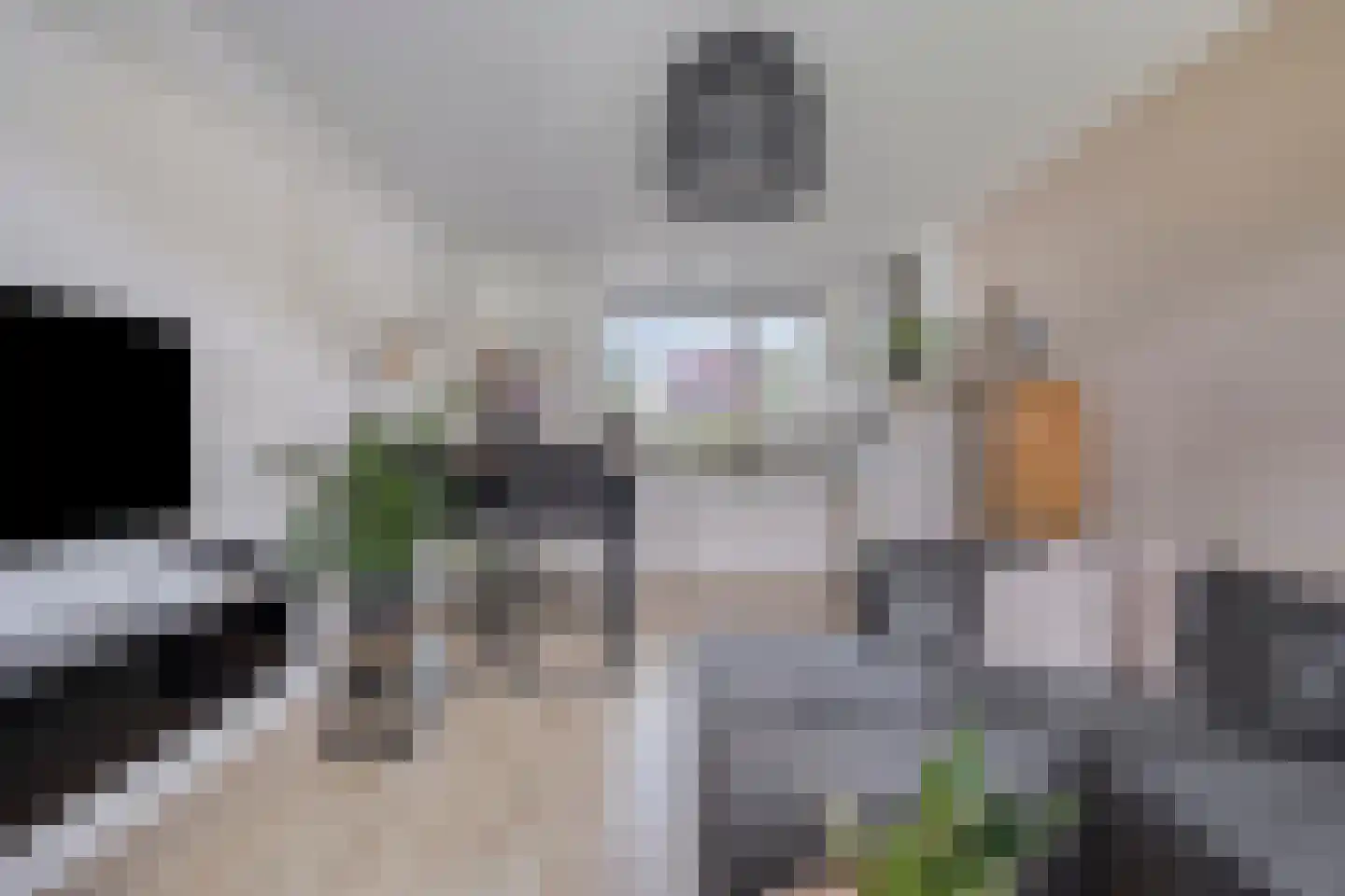 Anthony Fokkerstraat 13 Goes thumbnail 7